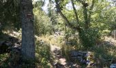 Percorso Marcia Autrans-Méaudre en Vercors - Autrans - Gève - Bec de l'Orient - La Buffe - Photo 3