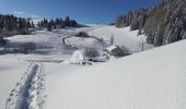 Tocht Sneeuwschoenen La Pesse - L'Embossieux - Les Planes - Photo 9