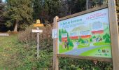 Trail Mountain bike Proveysieux - Panflay- Plaine de Girieux- Col de la charmette - Photo 5