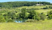 Trail  Montcuq-en-Quercy-Blanc - Montcuq Laurette - Photo 1