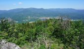 Trail Walking Grendelbruch - Le Piton du Falkenstein - Photo 1