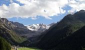 Trail On foot Stilfs - Stelvio - IT-5 - Photo 9