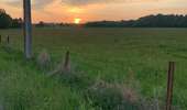 Trail Walking Anderlues - Balade Lobbes-Thuin-Anderlues  - Photo 1