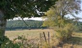 Excursión Senderismo Léglise - Bois d'Ospau et balade du Polissoir - Photo 13