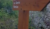 Trail Walking Beuil - le challas - Photo 6