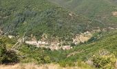 Trail Walking Val-d'Aigoual - Cascade d'Orgon-15-06-22 - Photo 14