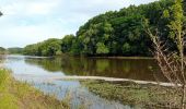 Tour Wandern Mûrs-Erigné - Mûrs Érigné - Photo 6