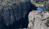 Randonnée Marche Berrias-et-Casteljau - Gorges du Chassezac - Photo 19