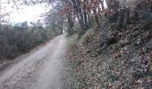 Trail Walking Saint-Didier - de St Didier au Beaucet 84 - Photo 7