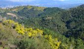 Randonnée Marche Tanneron - Tanneron par Les Farinas - Photo 7