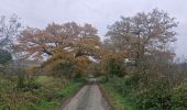 Percorso Marcia Somme-Leuze - Baillonville-Waillet-Les Vennes - Photo 19