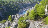 Percorso Marcia Cassis - XX-Cassis-Les Calanques-Miou-Pin-En Vau - Photo 6