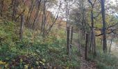 Trail Walking Seyssins - La colline de Comboire par les hauts de Pré Nouvel - Photo 1