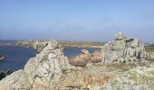 Tocht Stappen Ouessant - Lampaul - tour nord d'Ouessant - Photo 20