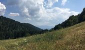 Randonnée Marche Autrans-Méaudre en Vercors - Signal de Nave - Photo 1