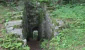 Excursión A pie Zell im Fichtelgebirge - Sparneck-Großer Waldstein - Photo 9