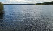 Tour Wandern Monts-de-Randon - Rando du 13/05/2024..Rieutor de Randon..Truc de Fortuneo..Lac de Charpal - Photo 9