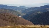 Trail Walking Lepuix - Ballon d'Alsace - cascade et lac d'Alfeld - Photo 4