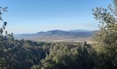 Tour Wandern Les Mées - DABICE Chapelle S Honorat , Jas des Aires , Jas des Dourbes  , Chateau au Levin , la Baume , o n - Photo 10