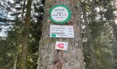 Tocht Stappen Gérardmer - Roches de Bruyères et du Page, Gorges du Roitelet - Photo 4