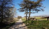 Tour Wandern Braine-l’Alleud - 2020-04-04 FE Maison Chenois Rhode 7Fontaine retour 15 Km - Photo 3