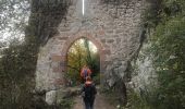 Tour Wandern Dambach - Bernstein ortenbourg Falkenstein  - Photo 11