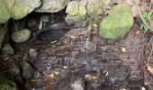 Excursión Marcha nórdica Le Vauclin - La boucle de la montagne du Vauclin - Photo 4