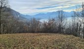 Tour Wandern Annecy - Boucle  VEYRIER - Photo 7