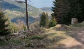 Tocht Mountainbike Fréland - Voirimont Barlin Chamont - Photo 2