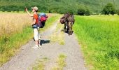 Tocht Stappen La Chapelle-en-Vercors - La Chapelle en Vercors - Vassieux (Première étape balade ânes) - Photo 6