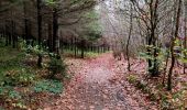 Tour Wandern Tenneville - Boucle agricole - Le circuit de la ferme des Frênes  - Photo 19