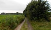 Trail On foot Ninove - Galgeveldwandeling - Photo 8
