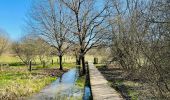 Randonnée Marche Huldenberg - La réserve naturelle Doode Bemde à Neerijse - Photo 1