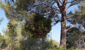 Tour Wandern La Cadière-d'Azur - la cadiere d'azur - Photo 2