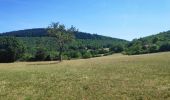 Tocht Stappen Larroque - sentier des Mespel - Photo 4