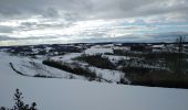 Randonnée Marche Brion - COL DE TOUTES AURES - Photo 5