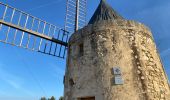 Trail Walking Fontvieille - Fontvieille - Photo 4