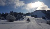 Trail Snowshoes Lans-en-Vercors - Le Belvédère des Cimes par la cabane des Ramées et retour par la Croix des Ramées  - Photo 6