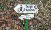 Tour Wandern Quevillon - 20211218-Quevillon  - Photo 11