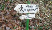 Trail Walking Quevillon - 20211218-Quevillon  - Photo 11