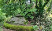 Tocht Stappen Pont-Aven - Pont Aven boucle via chapelle St Mathieu/Nevez/Le Henan/Penanros - Photo 3