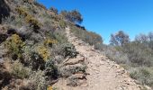 Tour Wandern Collioure - MADELOC depuis col de la serra, via col formigo,  batterie 500, madeloc, col tellaferra  - Photo 6