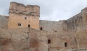 Trail Walking Salses-le-Château - citadelle de Salse  - Photo 10