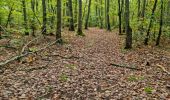 Trail Walking Vendôme - Petit parcours dans la partie Sud-est du Bois de l'Oratoire - Photo 13