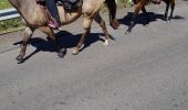 Tocht Paardrijden Saint-Léger-de-Rôtes - rando  equestre st leger de roste - Photo 2