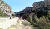 Randonnée Marche Duilhac-sous-Peyrepertuse - 7eme étape sentier cathare  - Photo 10