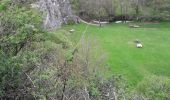 Trail Walking Saulges - Saulges -Grottes Margot - Moulins -  Oratoire de Saint-Ceneré - Photo 13