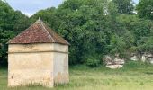 Percorso A piedi Druyes-les-Belles-Fontaines - Parcours du parking de la Porte de la Ville - Photo 4