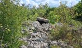 Trail Walking Saint-Paul-le-Jeune - Sentier des dolmens - Photo 7