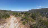 Trail Walking Gorniès - Le Grenouillet - Photo 1